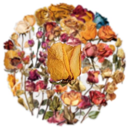 Image of Transparent Flora Scrapbook Stickers Aesthetic Flowers Stickers(ROS) | Transparent & Waterproof Sticker for Scrapbook Journal Water Bottle Kindle, DIY Crafts, Party Supplies