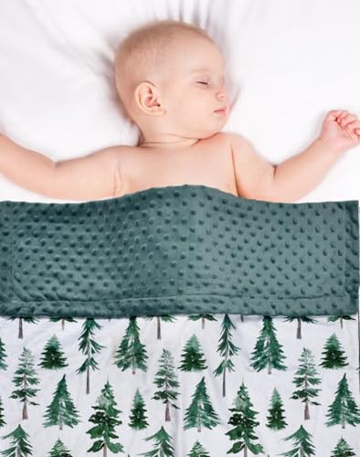 Image of Baby Blanket, Soft Minky Warm Blanket for Boy or Girl, Receiving blanket with Double Layer Dotted Backing for Newborns Nursery Stroller Toddlers Crib Bedding (30 x 40 Inch) Sunflower (Green Pine)