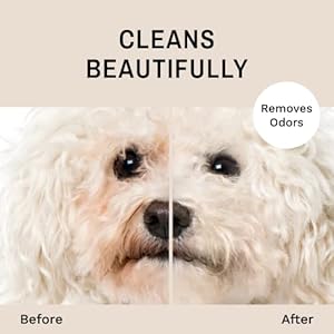 Eye envy tear stain facial cleanser for dogs and cats | washes away crusty eye debris eye boogers and eye discharge | tearless foaming formula | treats the cause of staining | 100 natural   cucciolini doodles