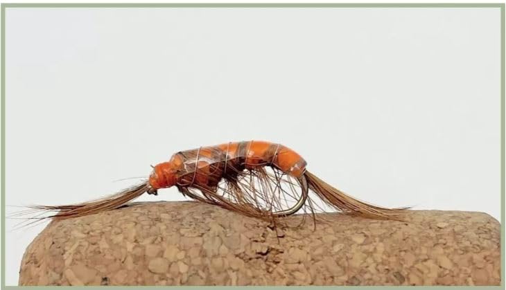 Barbless Shrimp Fly. Trout Flies Choose size and quantity, part of trout's natural diet (6, 10)