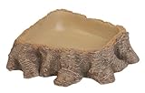 Hobby Trinkschale Stump 1, 15,8 x 14,2 x 3,4 cm