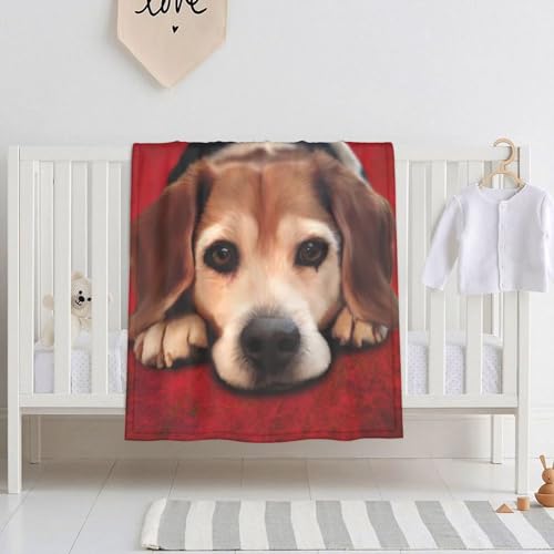 r[Õt@CA[g Ђ|GARtlѕz 􂦂ӂӂyʃtluPbg ԗpItBXgїpѕz 125×150cm