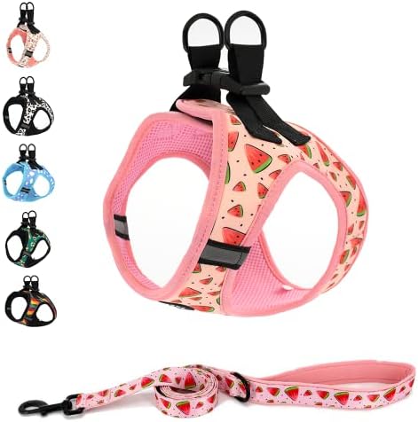 Step in Dog Harness and Leash Set, Reflective Dog Harness and Leash No Pull Dog Harness for Small Medium Large Dogs and Cats, Watermelon