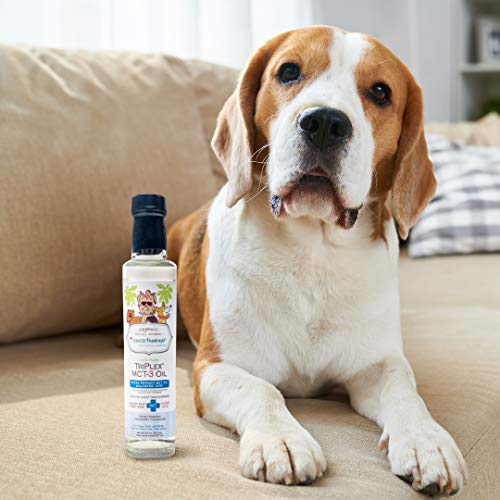 CocoTherapy Triplex MCT-3 Oil, Non-GMO, 100% Pure and Natural, 8 oz.