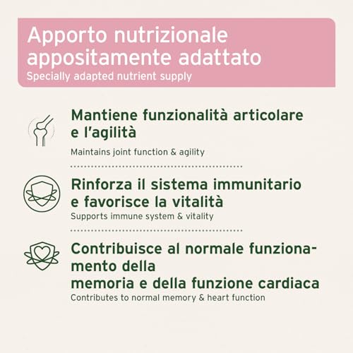AniForte Senior Active Pulver 250 g für ältere Hunde - Mineralien, Aminosäuren & Vitamine für Hunde, unterstützt Gedächtnis- & Herzfunktion, Grünlippmuschel für Vitalität & Agilität, Senioren Futter