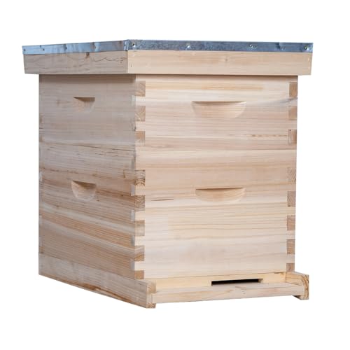 10 Frame Bee Hive, Compelte Bee Hive Starter Kit Includes 1 Deep Brood Honey Bee Hives Box, 1 Medium Super Bee Box with Beehive Frames and Foundation Sheets
