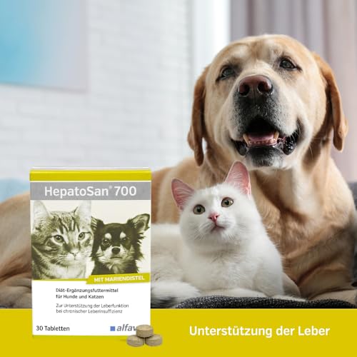Alfavet HepatoSan 700, Doppelpack, unterstützt den Leberstoffwechsel, Nahrungsergänzung für Hunde und Katzen, 2 x 30 Tabletten à 700 mg