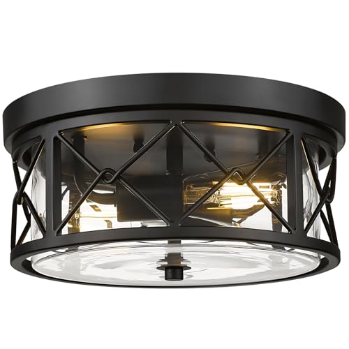 Image of zeyu 2-Light Flush Mount Ceiling Light Fixture, Clear Glass, ZY25-F BK