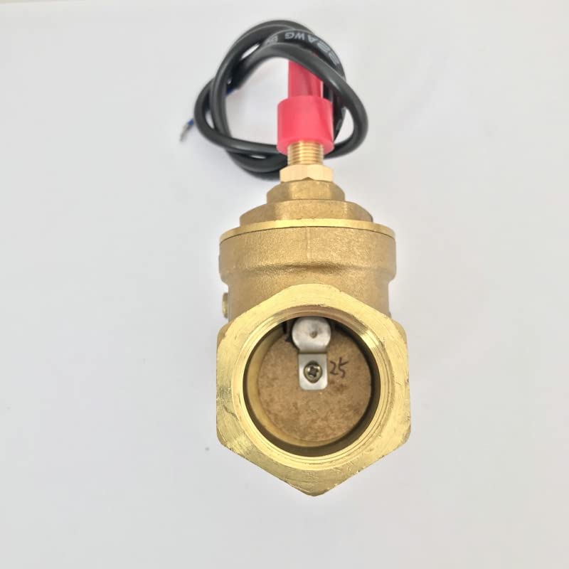 Commutateur de capteur de débit de Type déflecteur Commutateur Reed Commutateur de capteur 8-50L/min 250V DC 70W Commutateur Saier à 2 Fils