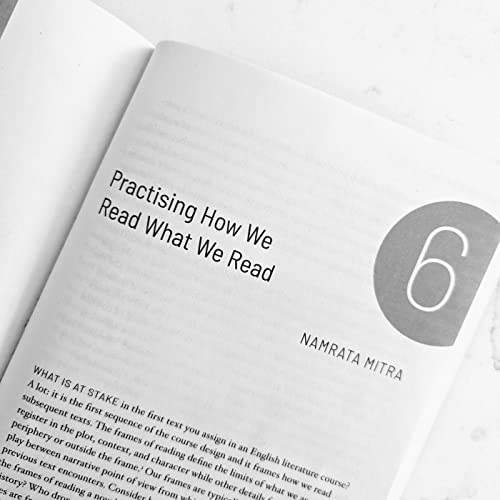『2.8 Interview with Namrata Mitra / Teaching Postcolonial Literatures』のカバーアート