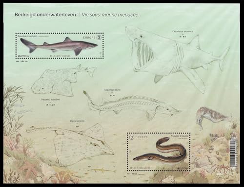 Bélgica PostEurop 2024 Flora y Fauna biodiversidad de Europa en sellos