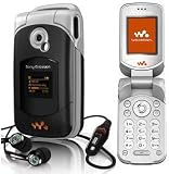 Sony Ericsson W300i Shadow Black (GSM 850/900/1800/1900) Handy Robbie Williams Edition