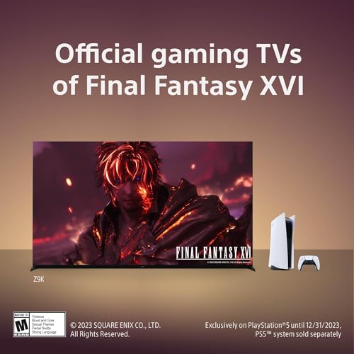Sony 98 inch Bravia XR TV