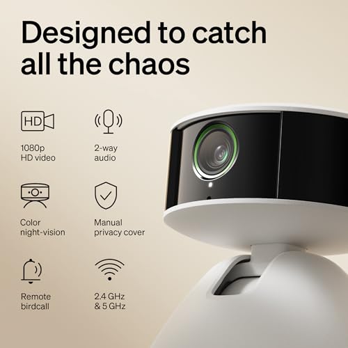 Image of PETLIBRO 2-Packs AI Pet Camera Indoor with Phone app, Multi-Pet Recognition & AI Summary, 360 Auto Tracking Night Vision Cat cam Dog cam, [One Dog Camera Requires One Subscription]