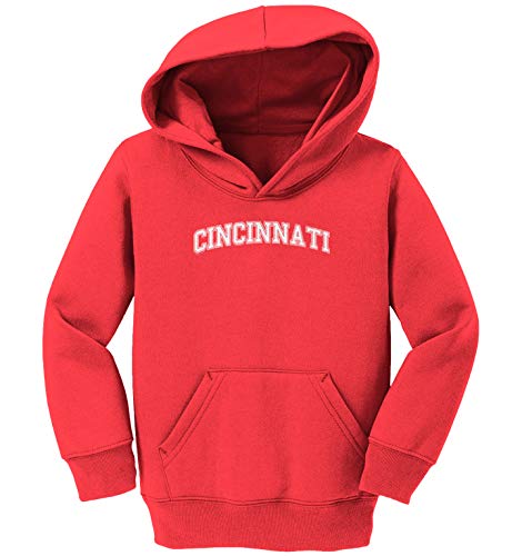 Haase Unlimited Cincinnati - State Proud Strong Pride Toddler/Youth Fleece Hoodie2