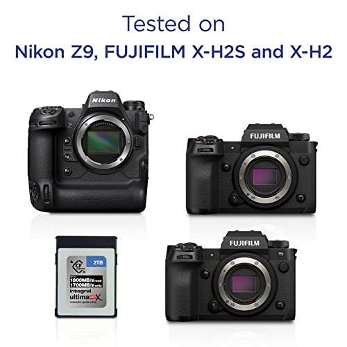 Ficha técnica Integral 2TB 2000GB Tarjeta de Memoria CFexpress Tipo B 2.0 12K y 8K Raw y 8K 120 para cámaras cinematográficas y DSLR avanzadas con Alta Velocidad de Escritura sostenida mínima 1300MB/s - Fernando Cortés