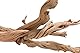 Fische 25,4 cm Ghostwood sandgestrahlt branchy, variiert