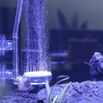 Oxigenación De Piedras De Aire Para Acuario Con Disco De Bur | Cuotas Sin Interés