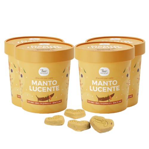 Biscotti per Cani per il Pelo, contro la Dermatite | Ricchi di Ribes Nero per un Manto Luminoso e in Salute | Snack Cane funzionale gusto Ribes | 100gr X4 | Mangime Complementare italiano | Hygge Dog