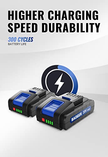 WILD BADGER POWER 20V Weed Wacker, Leaf Blower, String Trimmer, Lightweight, Adjustable Telescopic Shaft, Easy to Use and Convert, 2 * 2Ah Battery & 1*Charger