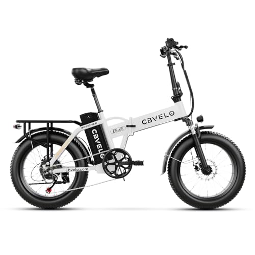 Aelith Folding Electric Bike for Adults –20"x3" Fat Tire, 48V