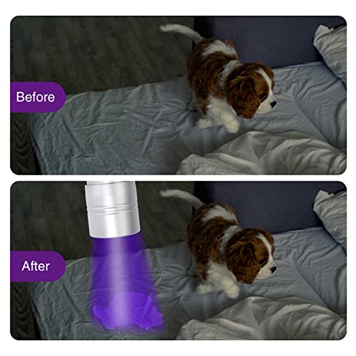 Cosoos Black Light Flashlight, 2 Pack 12Led 395Nm Uv Handheld Black Light, Mini Torch Light, Dogs Urine Detector For Dry Urine Stains, Bed Bugs And Scorpions. #TOP4
