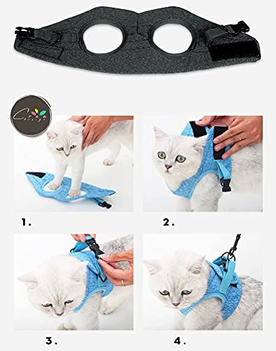 Crea CLEA- Pettorina per gatti ultra leggera e confortevole,con guinzaglio. (M, Nero)