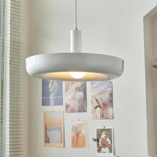 Lustre de Plafond à Tête Unique en Métal Peint