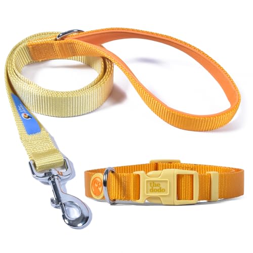 The Dodo All Nylon Yellow Collar and Leash Set – Medium; Matching Cute Leash and Collar Set; Waterproof Dog Leash and Collar Set, Perfect for Beach Day or Trips to The Lake The Dodo All Nylon Yellow Collar and Leash Set – Medium; Matching Cute Leash and Collar Set; Waterproof Dog Leash and Collar Set, Perfect for Beach Day or Trips to The Lake