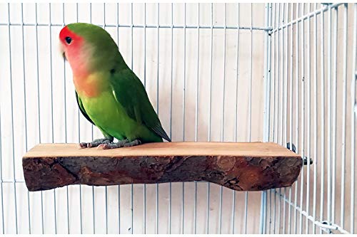 Amazon | 止まり木りんごの木 パーチ インコ オウム 自然木 鳥 オウム