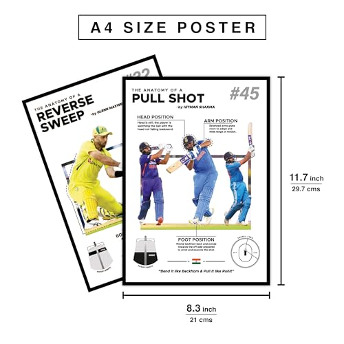Image of CodersParadise Paper Cricket Anatomy Wall Posters - Pack Of 6 | 8X12 Inch (A4 Size) | Wall Poster For Home Bedroom, Living Room Decor And Aesthetics | Included Glue Dots