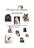 10 races de chiens de travail: Les chiens se présentent à nous les humains