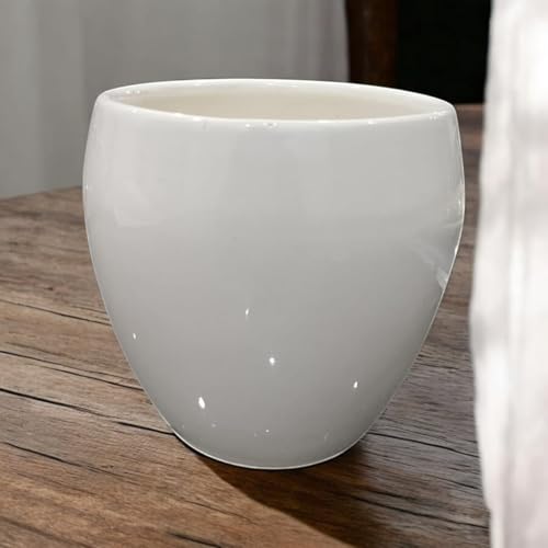 Image of Ceramic Planter Pot with Spiral Design, 17.78cm Height, White Planter Vase for Indoor Plants, Living Room Office Gardens (7 inch) Round (Apple Pot)