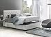 Talamo Italia Elsa Doppelbett mit Container, Made in Italy, Bett und Kopfteil aus Kunstleder, Frontöffnung, geeignet für Matratze 160x190 cm, Weiß