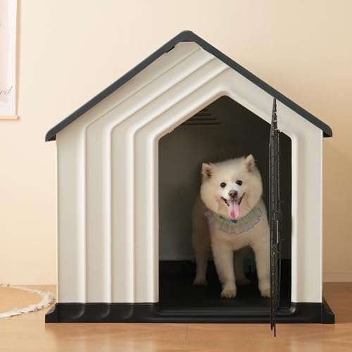  hAtybgnEX ybgP[W vX`bN AO ybgpP[W t@bV ybg (O[)