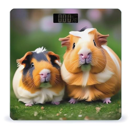 Báscula Digital Cute Guinea Pigs con Vidrio Templado miniatura 1