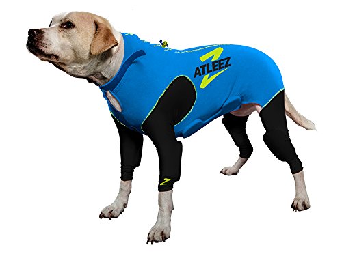 Atleez Compression Padded Suit, Large, Teal Blue