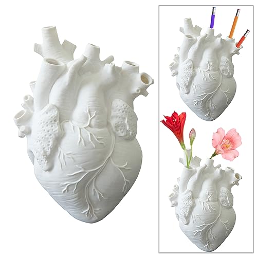 Molyorch Herz Vase Anatomisch, Anatomisches Herz Vase, für Blumenarrangement Dekoration, Geschenke zur Beichte, Lehrmittel (Weiß)