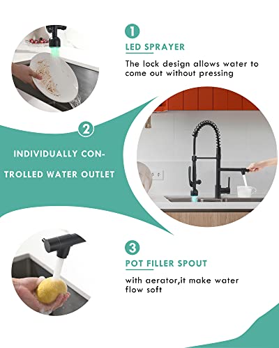 Fapully Black Kitchen Faucet With Pull Down Sprayer,Commercial Led Kitchen Faucet,Single Handle Single Hole Kitchen Sink Faucet #TOP3