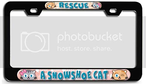 Makoroni - Rescue A Snowshoe CAT Bl 3D Metal License Plate Frame Auto SUV Truck Tag Holder, #d60