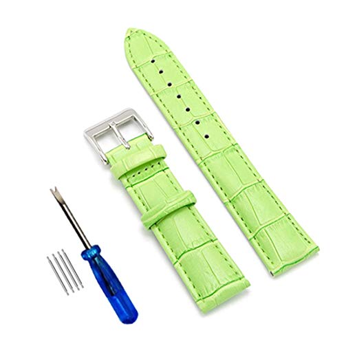 14.12/16/18/19/20/22/24mm Echtes Leder Edelstahl Dornschließe Uhrenarmbänder Krokodil Prägung Uhrenarmband-Handgelenk-Armband mit Montagewerkzeug, Grün Typ 1 20mm Cover