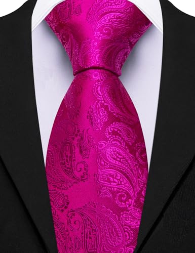 Image of Barry.Wang Paisley Tie for Men Silk Woven Necktie and Tie Clip Set Wedding Party Business Formal