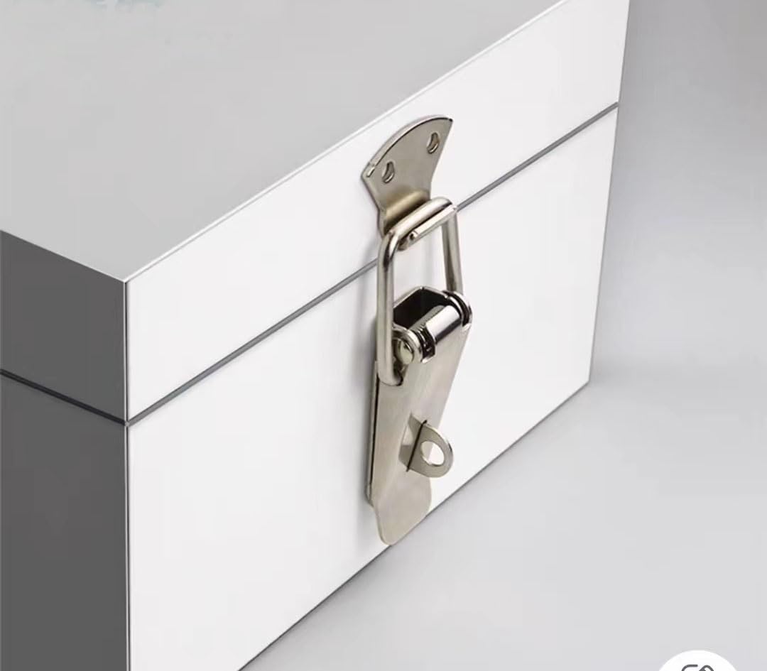 Chiusura a levetta, Chiusura a Molla, 2 Pezzi Mini Fibbia a Molla con Chiusura a Scatto in Ferro nichelato for Bagagli, Cassa in Legno, Cassetta degli Attrezzi(B 118mm)
