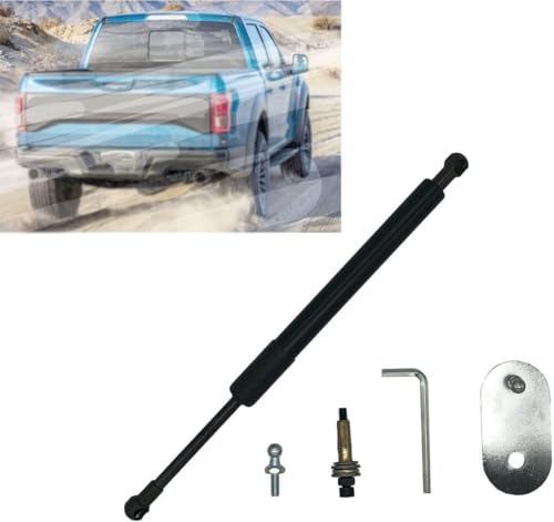Ressorts à gaz de coffre Ford F150 amortisseur de hayon arrière 2004-2014 - 4