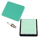 Panari Air Filter Spark Plug for Honda GC135 GCV135 GC160 GCV160 Gc190 Gcv190 GX100 Replace...