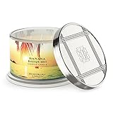 Premium Scented 4-Wick Candle, Banana Daiquiri, HomeWorx by Slatkin & Co - 18 oz - Long-Lasting Jar Candle, 30-55 Hours Burn Time - Sweet Banana, Coconut Froth, Dark Rum & Sugared Musk
