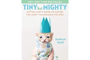 Tiny but Mighty: Kitten Lady's Guide to Saving the Most Vulnerable Felines