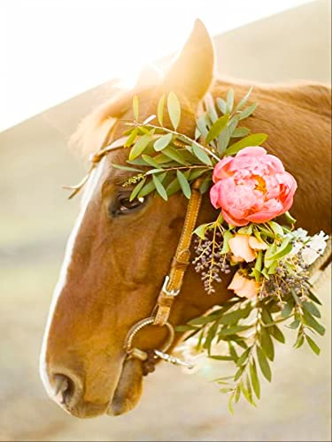 Zariocy 5D Diamond Painting Cheval, DIY Peinture Diamant Kit Fleur Animale Rond Complet Diamant Broderie Image Artisanat Kit Toile Tissu Maison Chambre Salon Décoration Murale 30x40 cm thumbnail