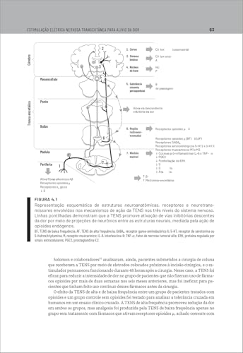 Agentes Eletrofísicos na Fisioterapia Traumato-Ortopédica