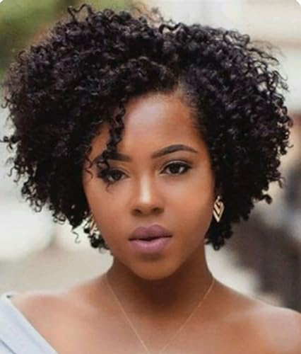 Perruques bouclées for les femmes noires synthétiques courtes style afro